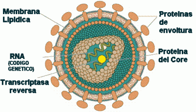 El VIH
